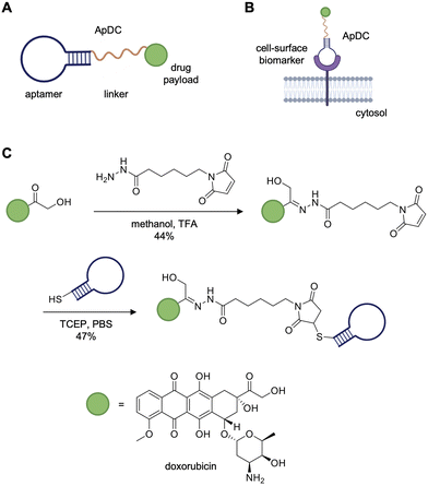 image file: d5cb00133a-f2.tif