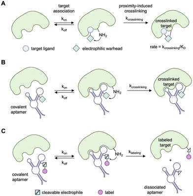 image file: d5cb00133a-f3.tif