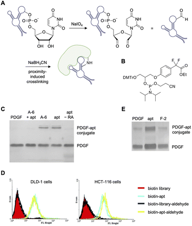 image file: d5cb00133a-f5.tif