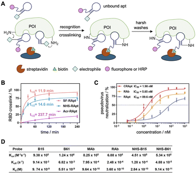 image file: d5cb00133a-f8.tif
