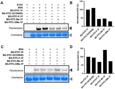 image file: d5cb00138b-f2.tif