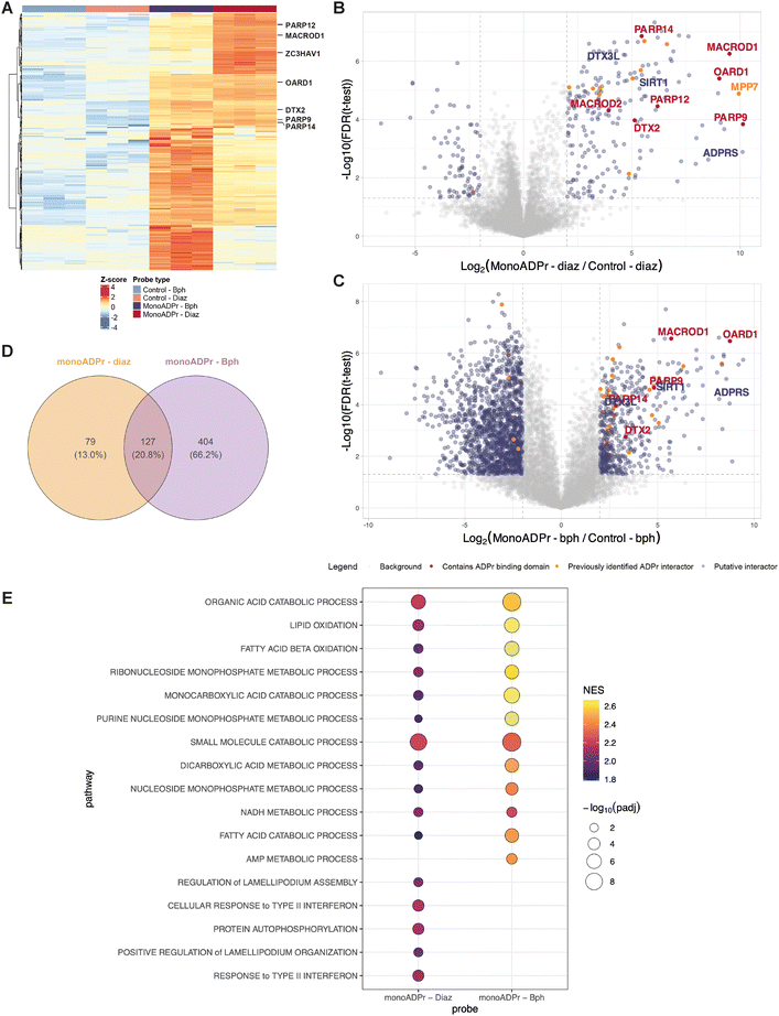 image file: d5cb00176e-f3.tif