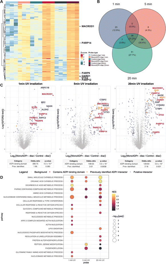 image file: d5cb00176e-f4.tif