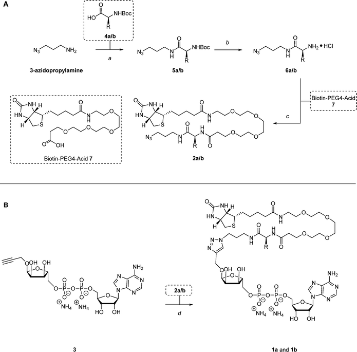 image file: d5cb00176e-s1.tif