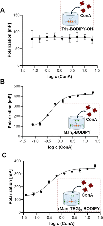 image file: d5cb00190k-f5.tif
