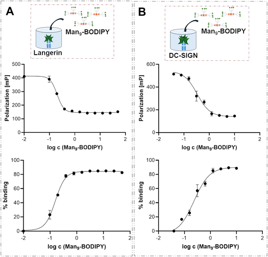 image file: d5cb00190k-f8.tif