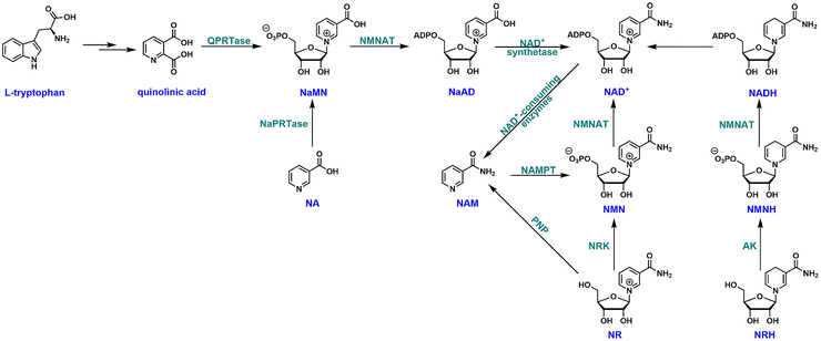 image file: d5cb00191a-f1.tif