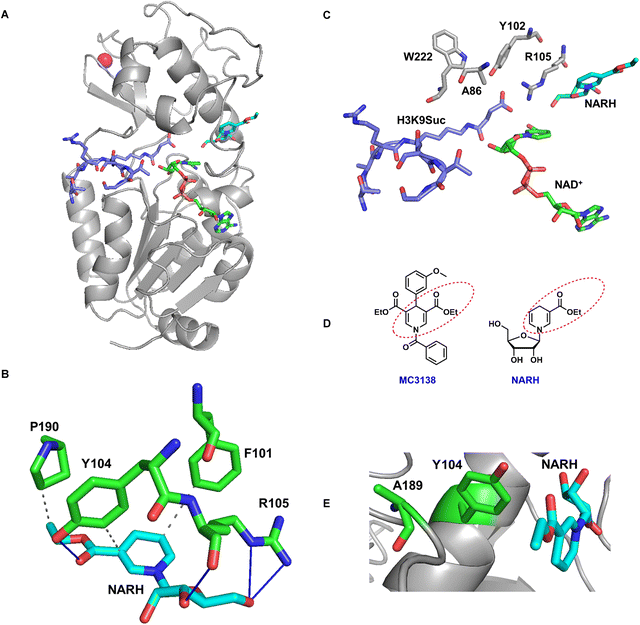image file: d5cb00191a-f8.tif