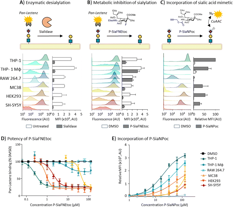 image file: d5cb00193e-f1.tif