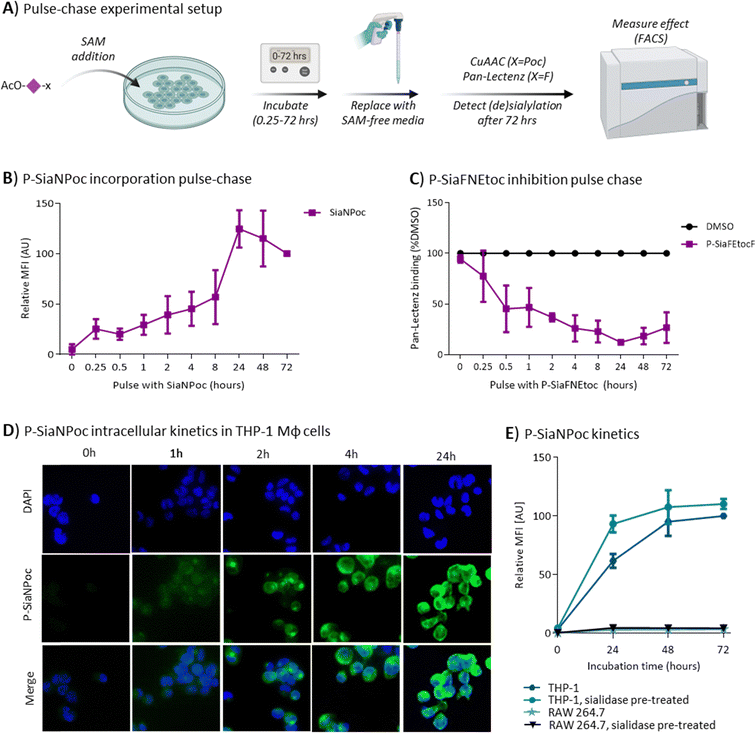 image file: d5cb00193e-f2.tif