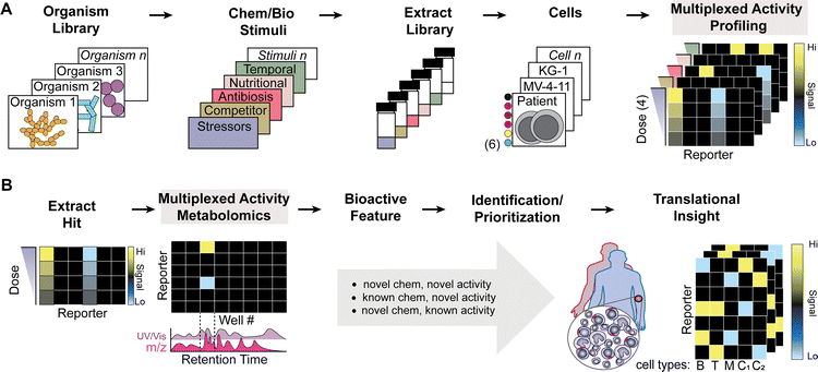 image file: d5cb00203f-f1.tif