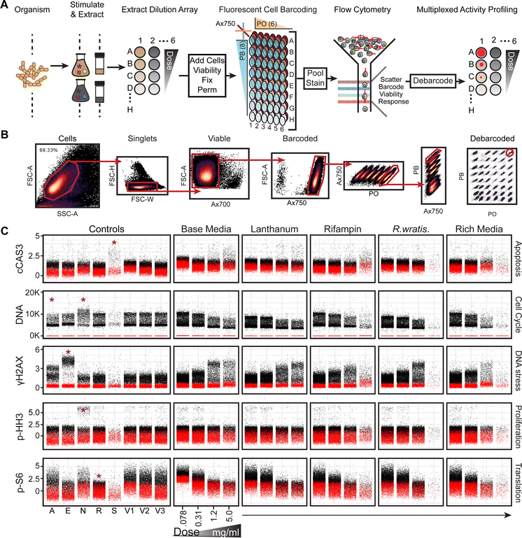 image file: d5cb00203f-f2.tif