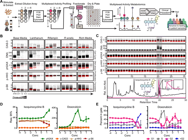 image file: d5cb00203f-f4.tif