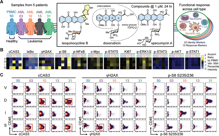 image file: d5cb00203f-f5.tif