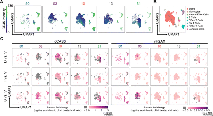 image file: d5cb00203f-f6.tif