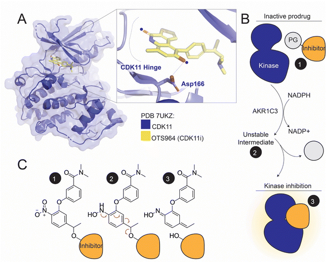image file: d5cb00219b-f1.tif