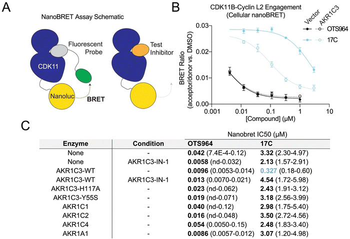 image file: d5cb00219b-f3.tif