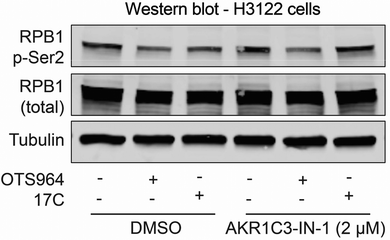 image file: d5cb00219b-f5.tif