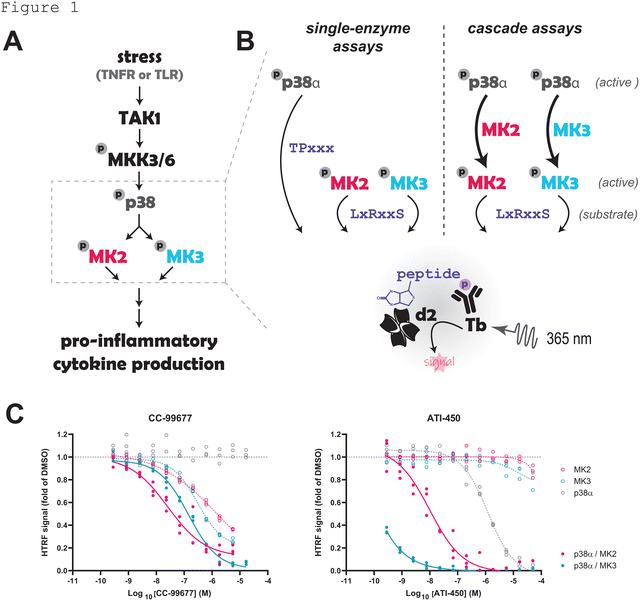 image file: d5cb00224a-f1.tif