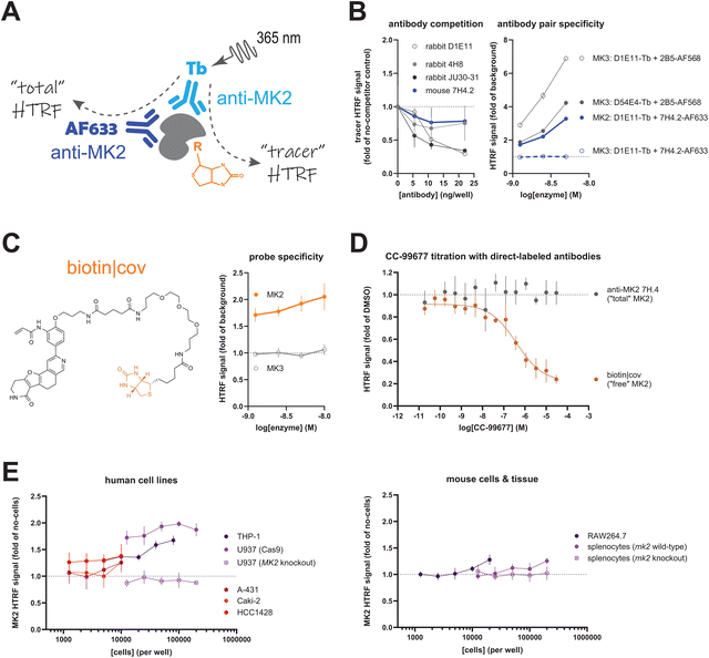 image file: d5cb00224a-f2.tif