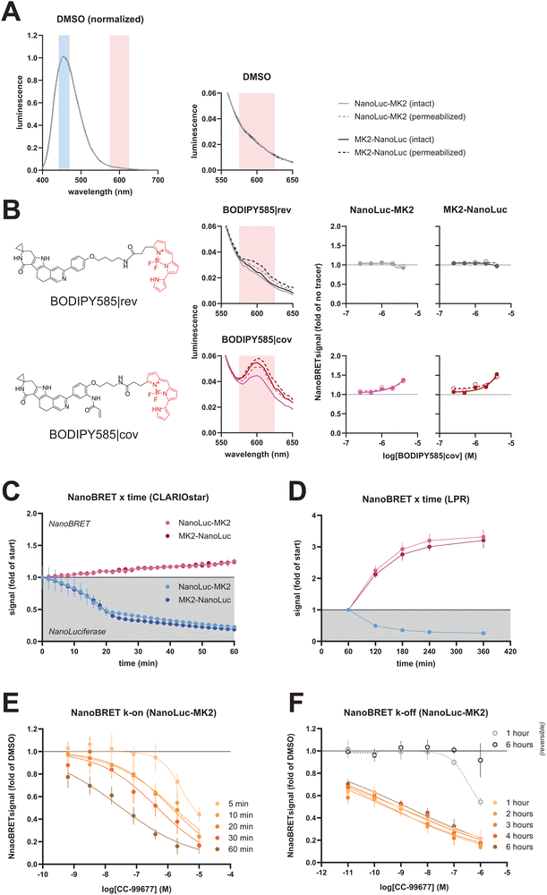 image file: d5cb00224a-f3.tif