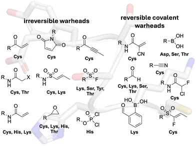 image file: d5cb00230c-f2.tif