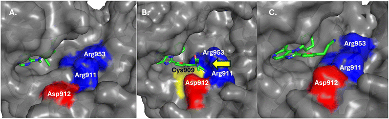 image file: d5cb00230c-f5.tif