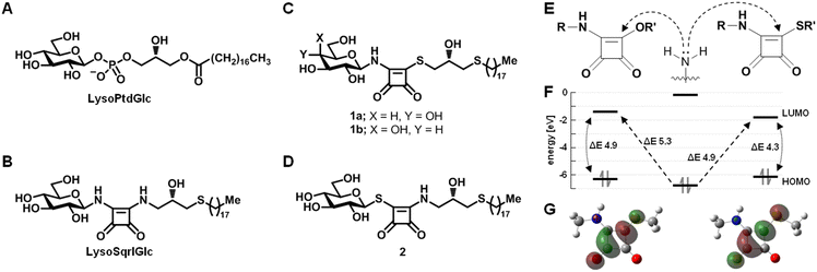 image file: d5cb00231a-f1.tif