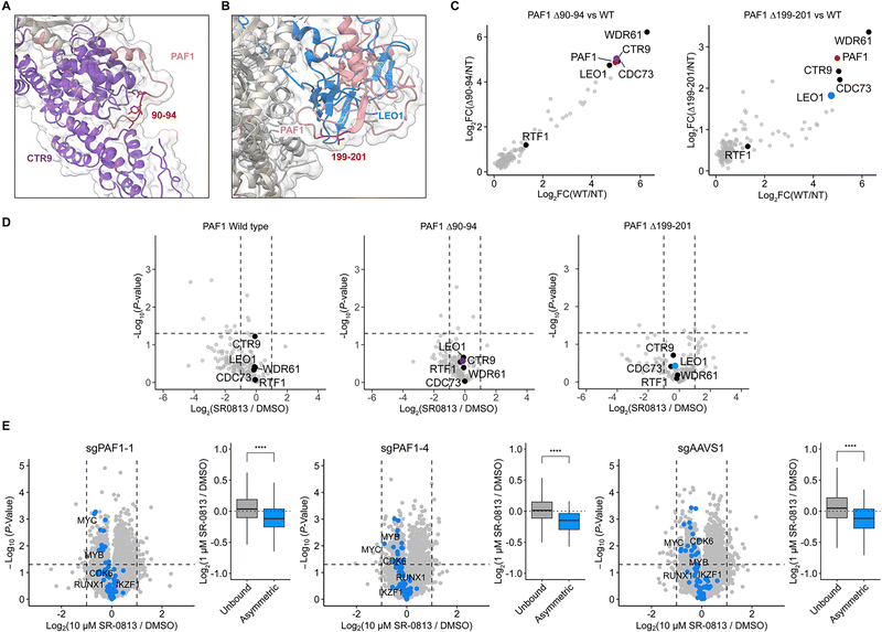 image file: d5cb00233h-f3.tif