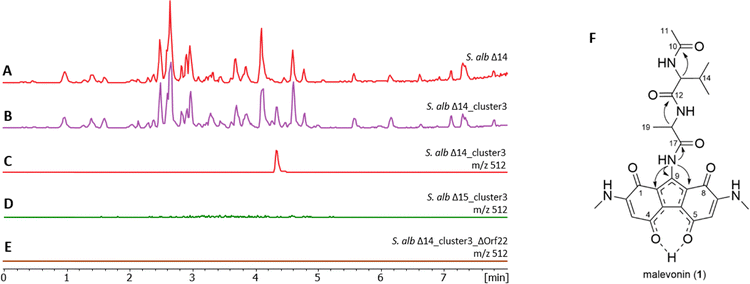 image file: d5cb00235d-f2.tif