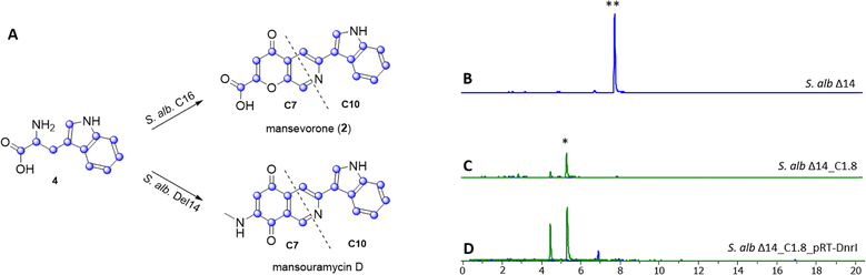 image file: d5cb00235d-f5.tif