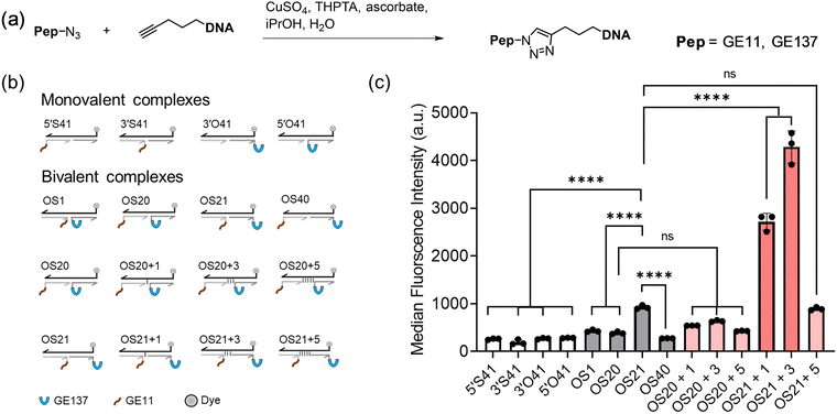 image file: d5cb00238a-f3.tif