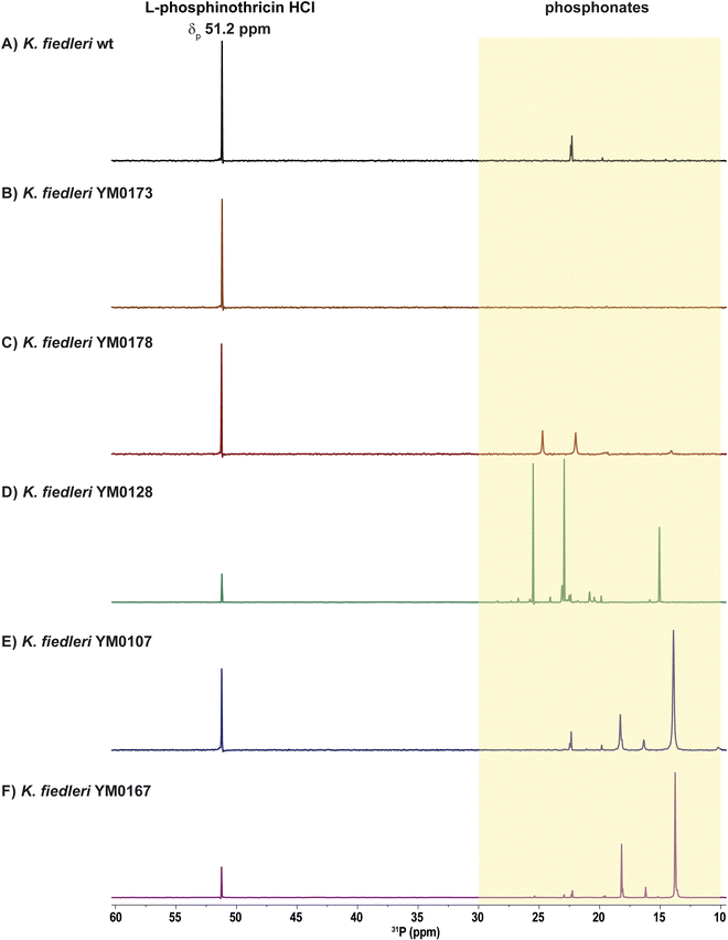 image file: d5cb00254k-f3.tif