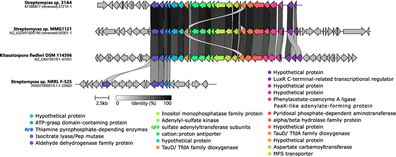 image file: d5cb00254k-f4.tif