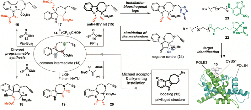 image file: d5cb00268k-f2.tif