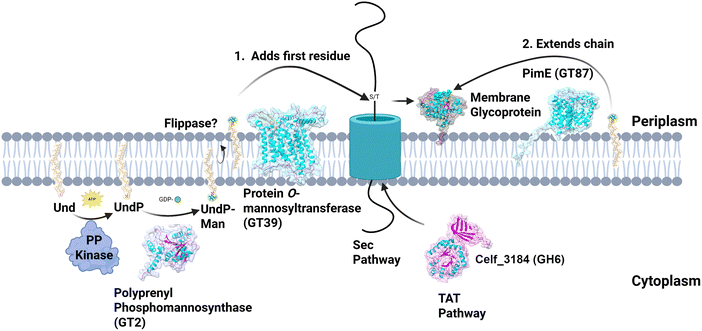 image file: d5cb00270b-f1.tif