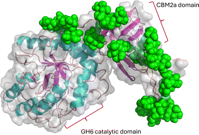 image file: d5cb00270b-f4.tif