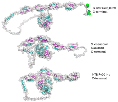 image file: d5cb00270b-f8.tif