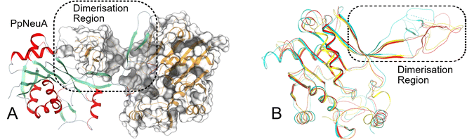 image file: d5cb00285k-f2.tif