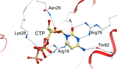 image file: d5cb00285k-f3.tif