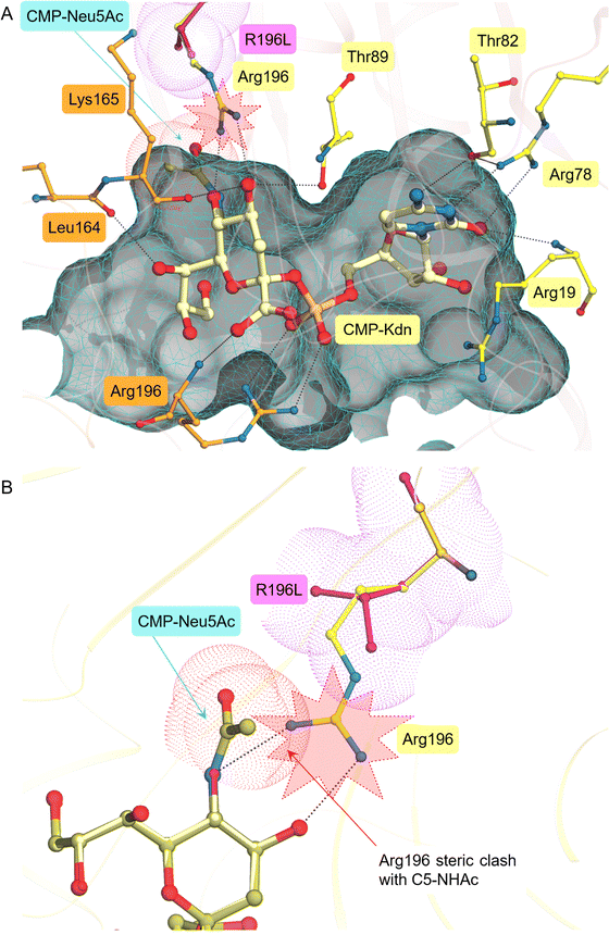 image file: d5cb00285k-f4.tif