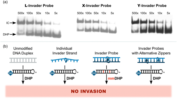 image file: d5cb00286a-f12.tif
