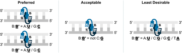 image file: d5cb00286a-f13.tif