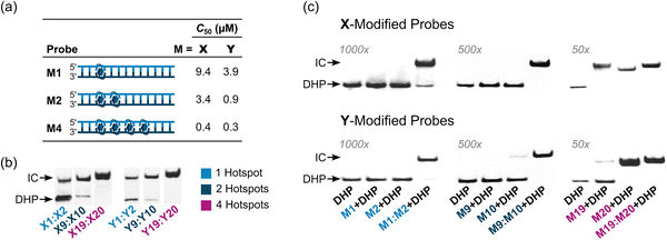 image file: d5cb00286a-f14.tif