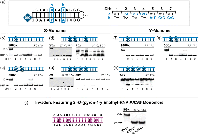 image file: d5cb00286a-f17.tif
