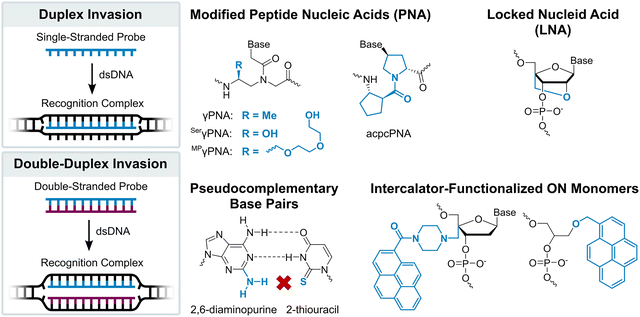 image file: d5cb00286a-f2.tif