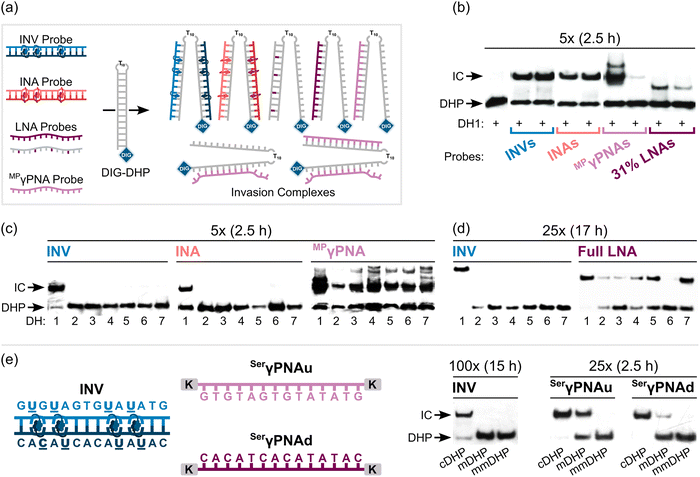 image file: d5cb00286a-f20.tif