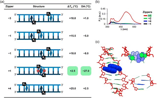 image file: d5cb00286a-f7.tif