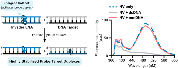 image file: d5cb00286a-f8.tif