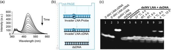 image file: d5cb00286a-f9.tif